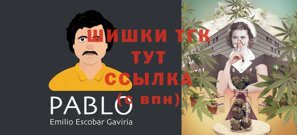 соль ск Протвино