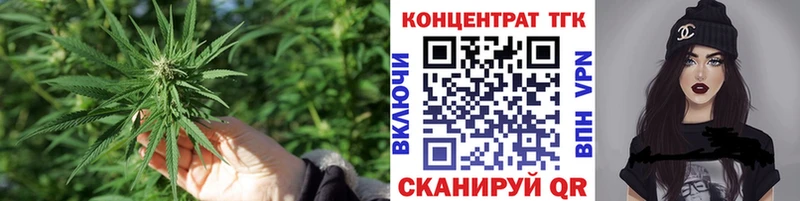 где купить наркотик  Светлогорск  ссылка на мегу зеркало  Дистиллят ТГК THC oil 