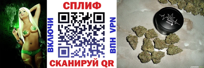 Бошки Шишки AK-47  Светлогорск 